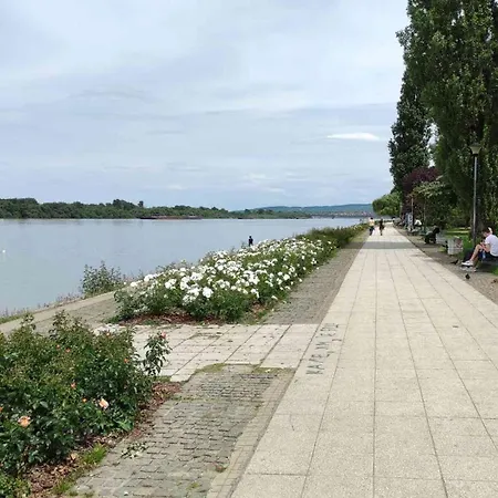 Dorcol Downtown Sunset *